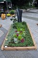 Tag des Friedhofs    046